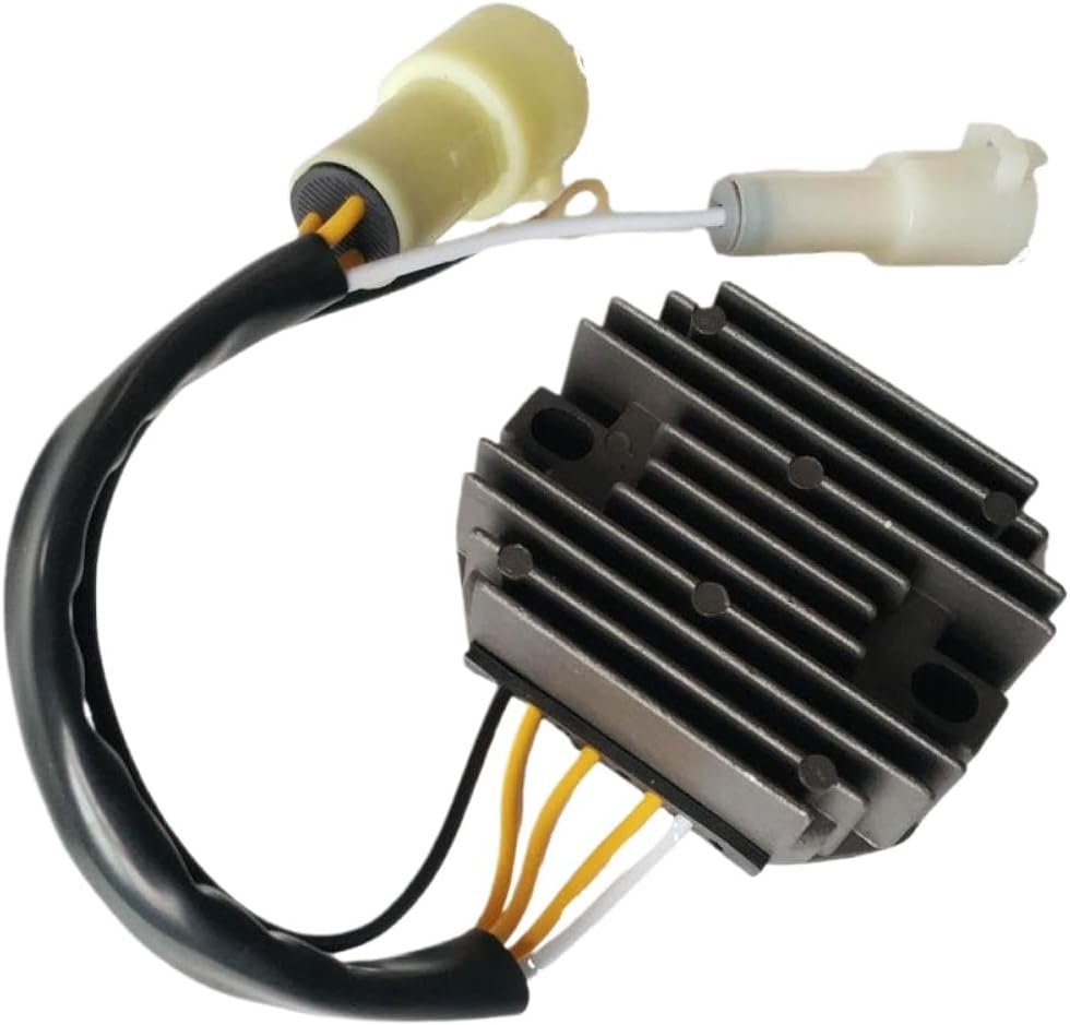 HYSTERIC Black Cat Bone ジャケット HYSTERIC GLOAMOUR ブラック